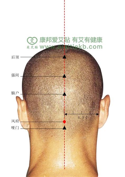 十三鬼穴 位置|你知道针灸中的“十三鬼穴”吗？图解给你全面解析！